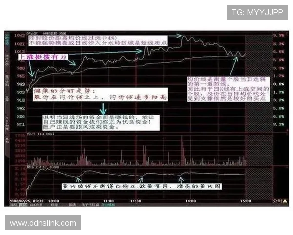 主力稳如泰山，替补深度不足问题逐步反映于比赛轮换中
